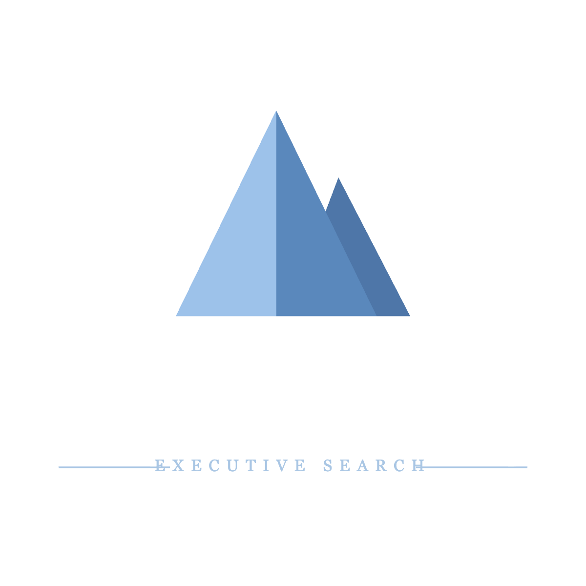 Vertex Executive Search